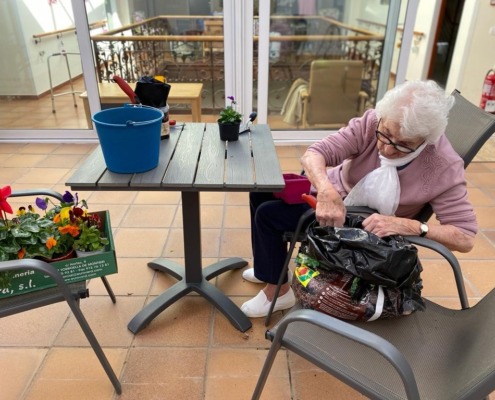 Gaudim de la tardor amb activitats de jardineria 1